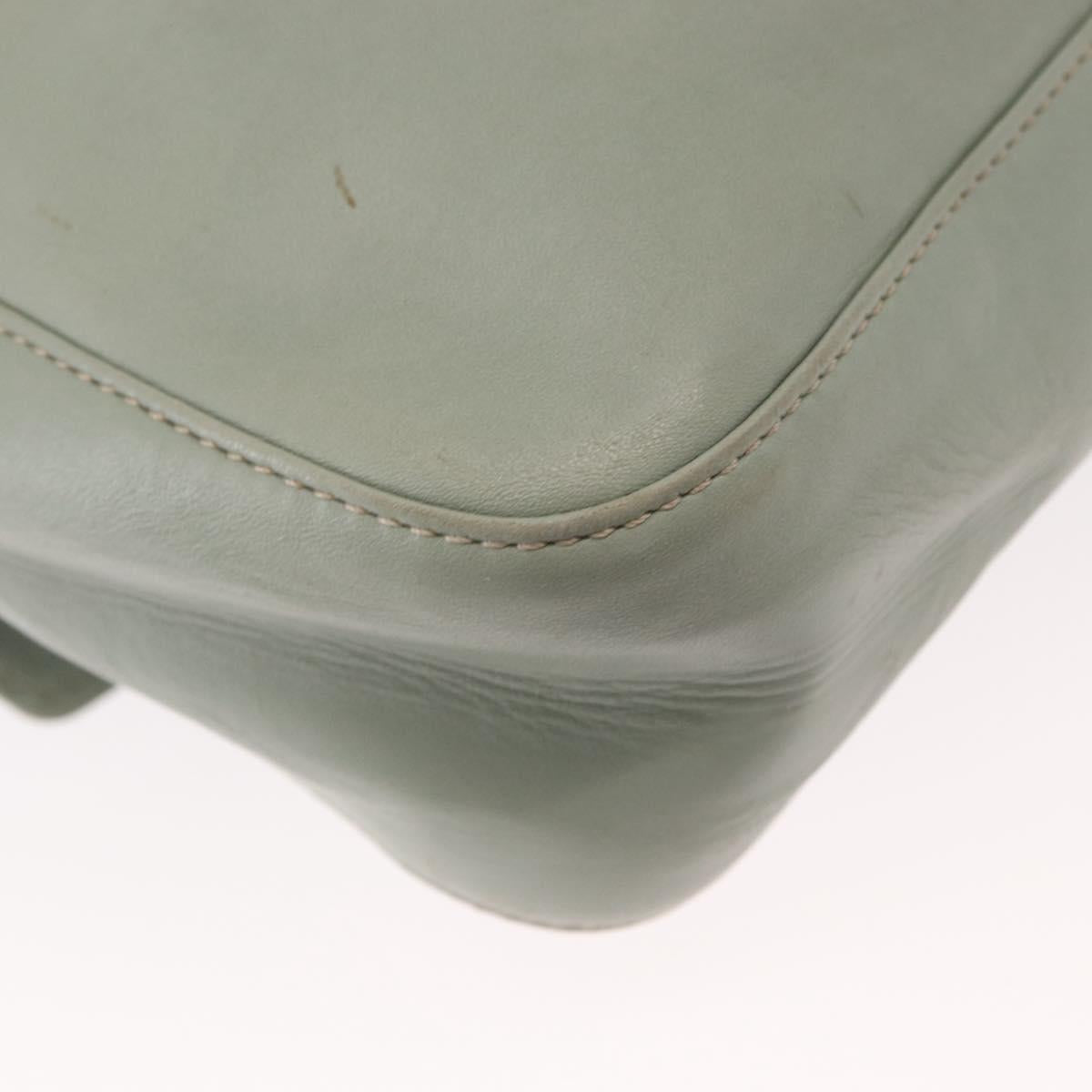 CELINE Circle Shoulder Bag Leather Gold Light green Auth 156943