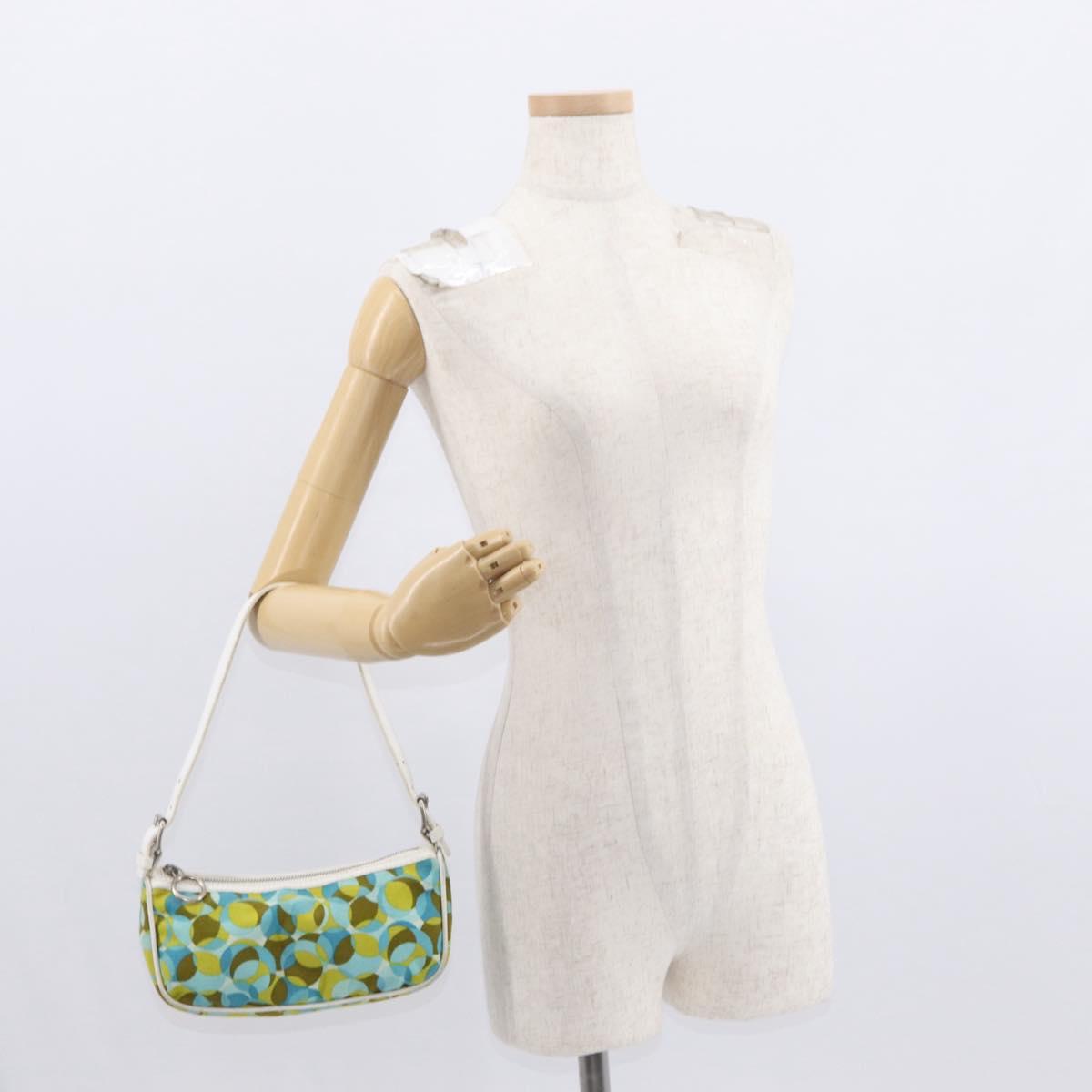 CELINE Accessory Pouch Canvas Green Silver Auth 157942