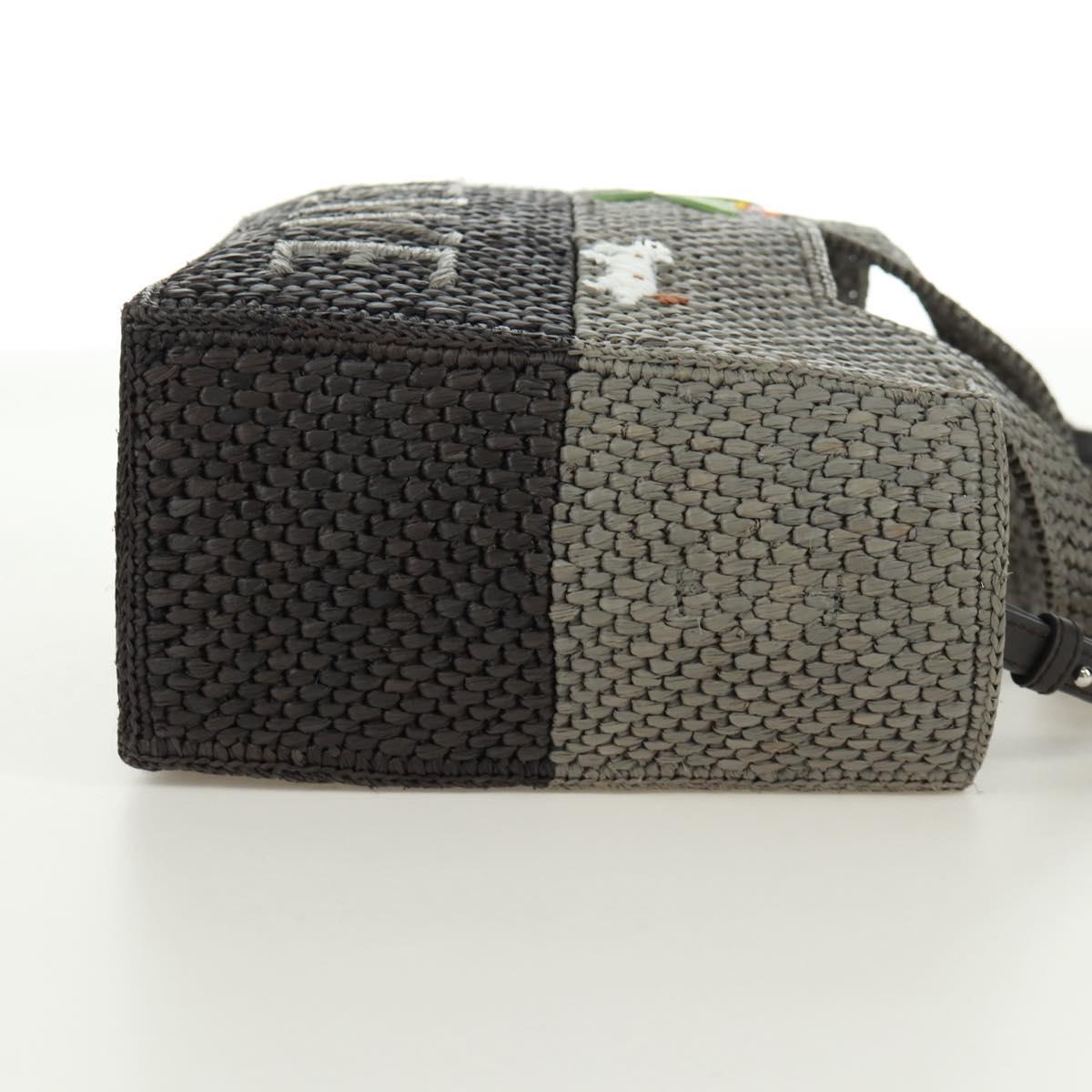 LOEWE SUNA FUJITA Mandragora Loewe Font Small Tote Bag Straw Gray Auth 158581SM