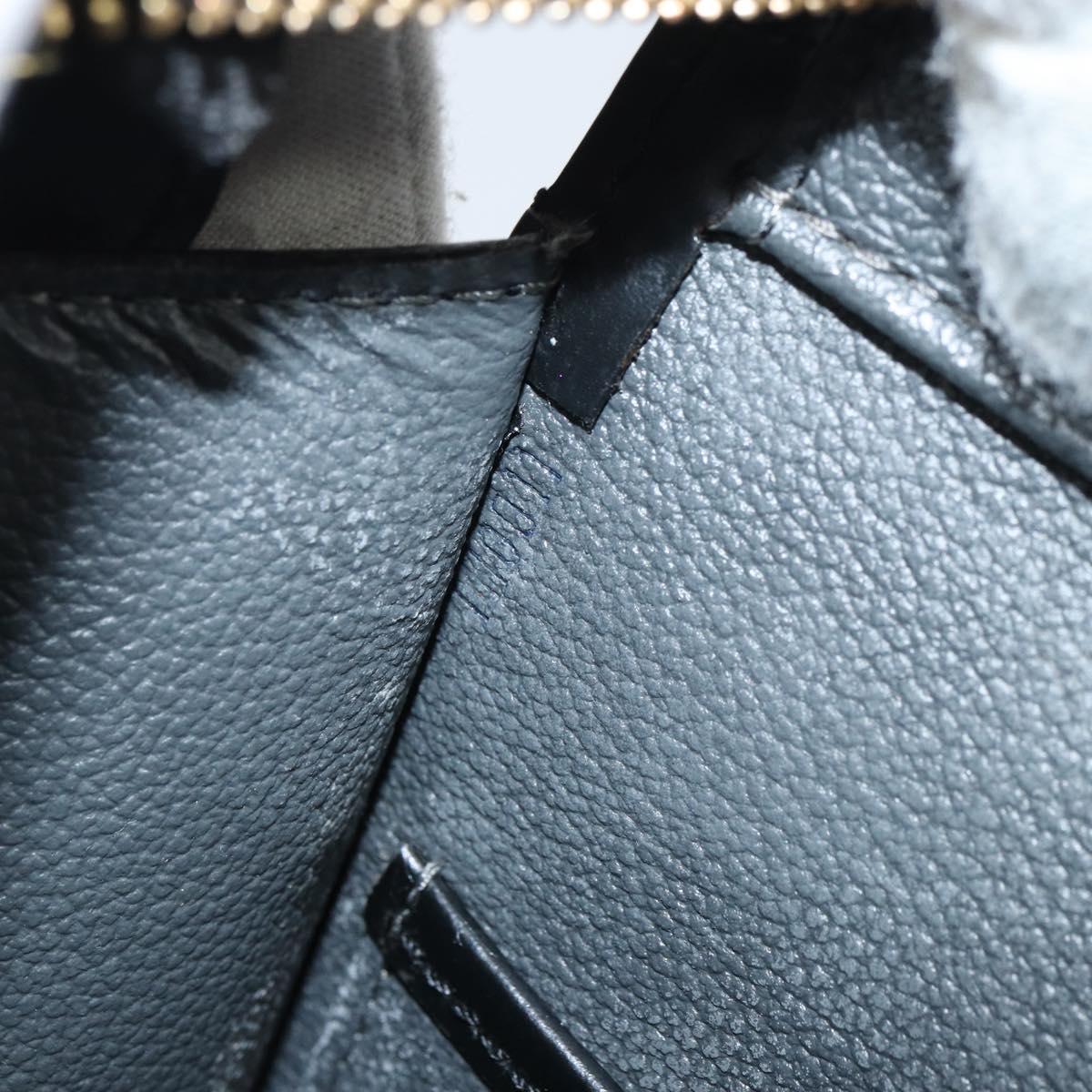 LOUIS VUITTON Epi Riviera Hand Bag Noir Black M48182 LV Auth 158784