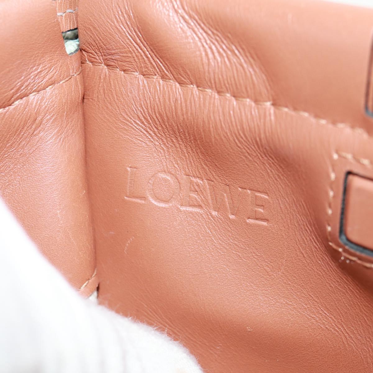 LOEWE Anagram Cushion Tote Bag Canvas Light green Auth 159034