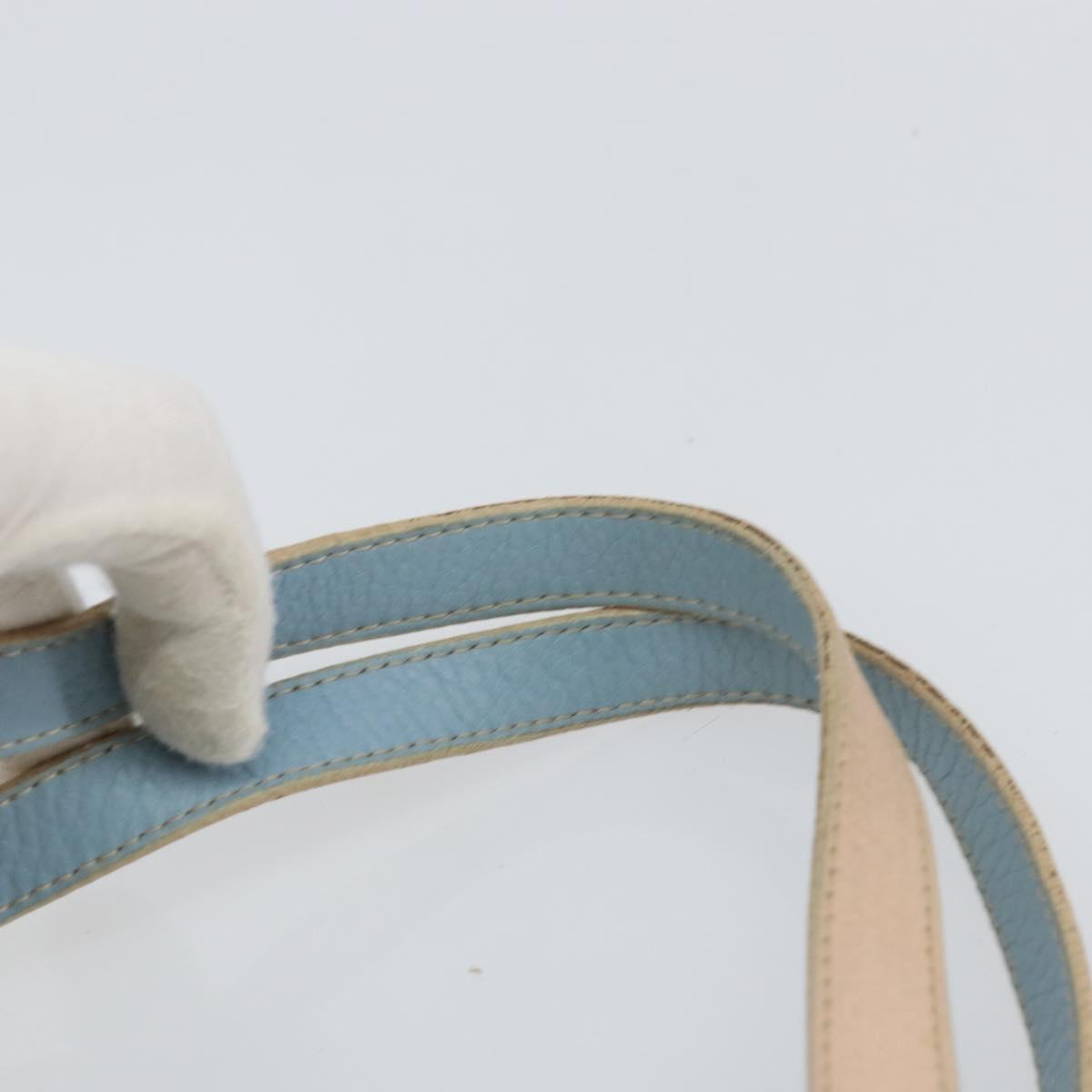 FENDI Zucchino Canvas Hand Bag Multicolor Gold Auth 159377