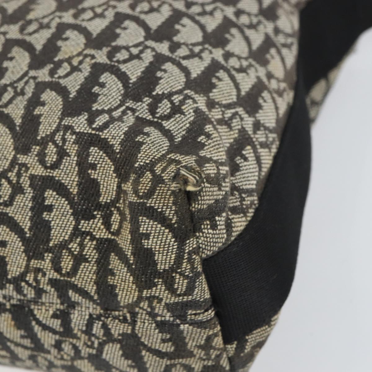 Christian Dior Trotter Canvas Shoulder Bag Navy Silver Auth 160674