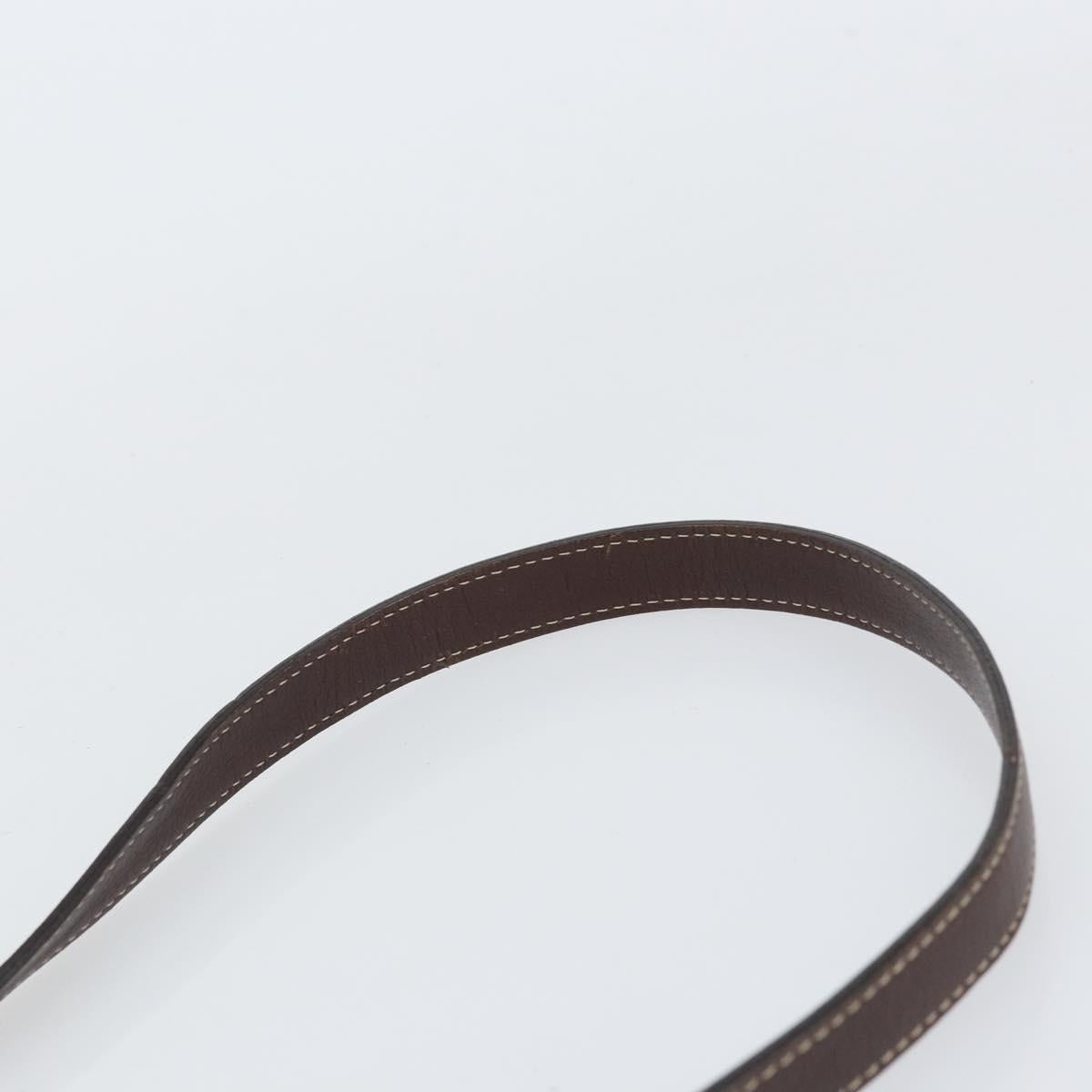 LOEWE anagram Shoulder Bag Nylon Brown Gold Auth 160683