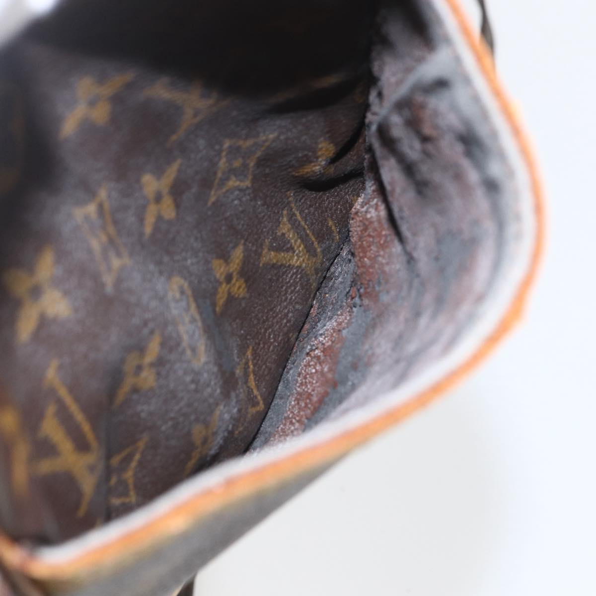 LOUIS VUITTON Monogram Danube Shoulder Bag M45266 LV Auth 160924