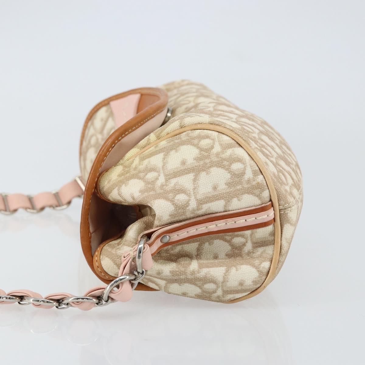 Christian Dior Trotter Canvas Romantic Bag PVC Beige Silver Auth 161033V