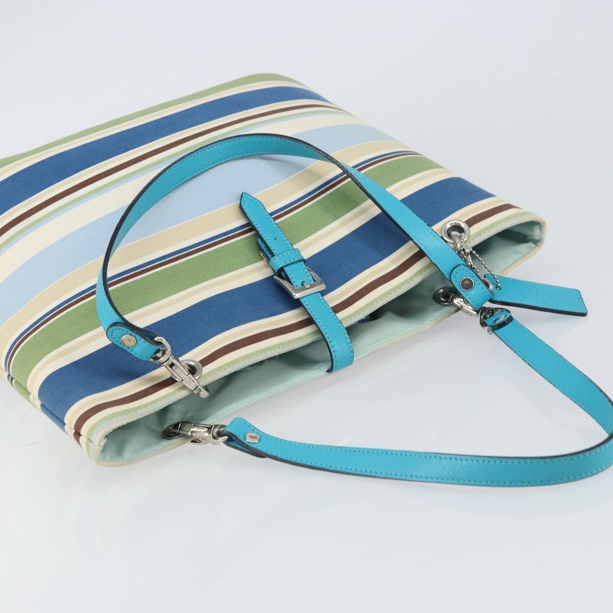 BURBERRY Tote Bag Canvas Blue Silver Auth 161168