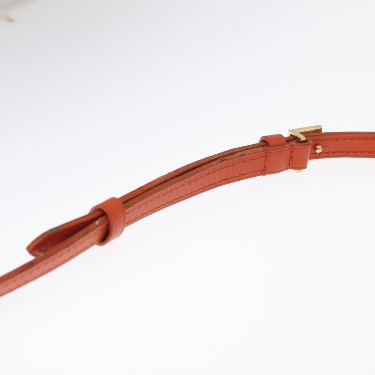 LOUIS VUITTON Damier Color Module Clutch Bag 2way Pimon N41312 LV Auth 161423