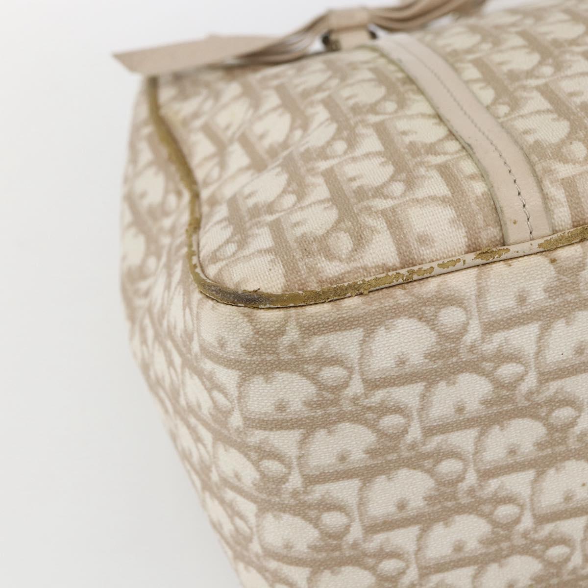 Christian Dior Trotter Canvas Romantic Hand Bag PVC Beige Silver Auth 161784