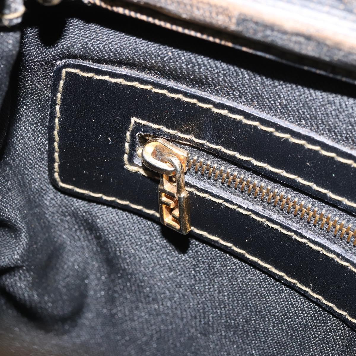 FENDI Pecan Canvas Hand Bag PVC 2way Black Brown gold Auth 163184