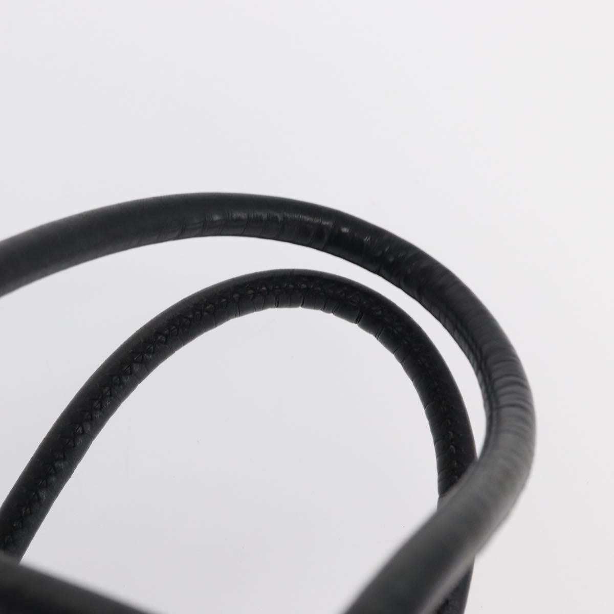 CELINE Circle Hand Bag Nylon Black Gold Auth 163365