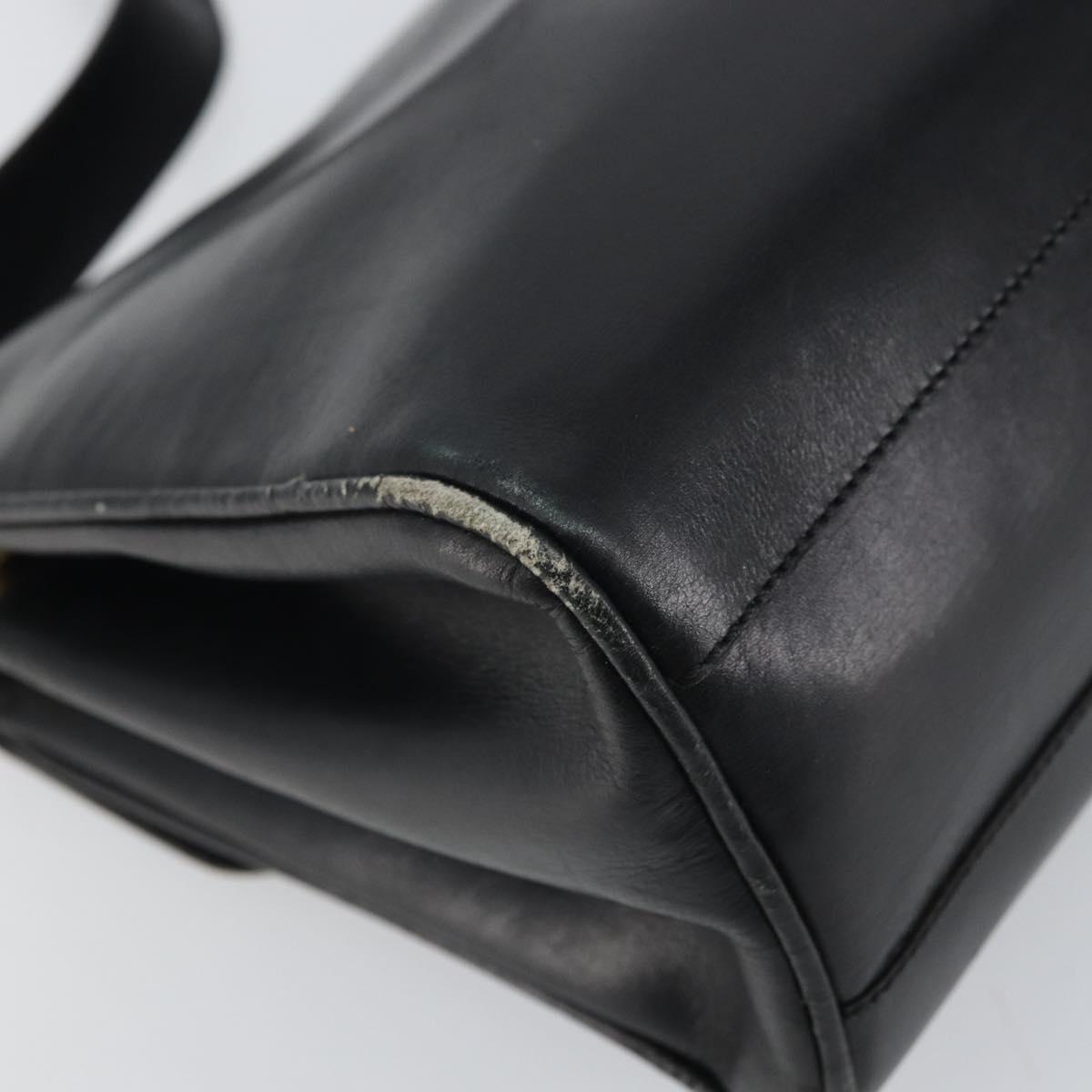 CELINE Horse Carriage Shoulder Bag Leather Black Gold Auth 163847