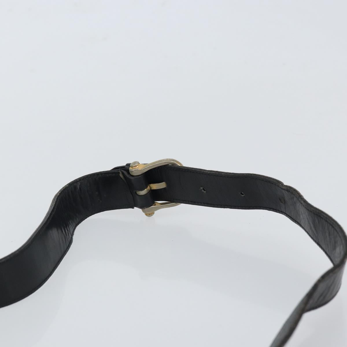 CELINE Horse Carriage Shoulder Bag Leather Black Gold Auth 163847