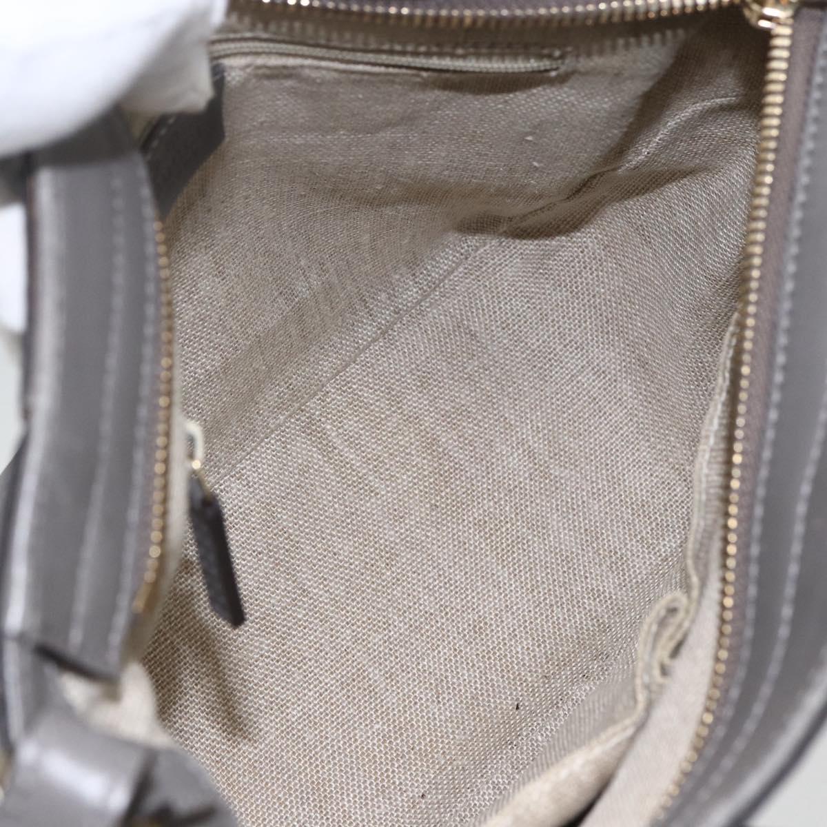 GUCCI Micro GG Canvas Guccissima Hand Bag 2way Gray Gold 449241 Auth 165015
