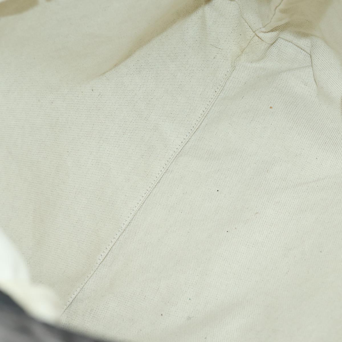 GUCCI GG Canvas Tote Bag Nylon Black Silver 295252 Auth 165091