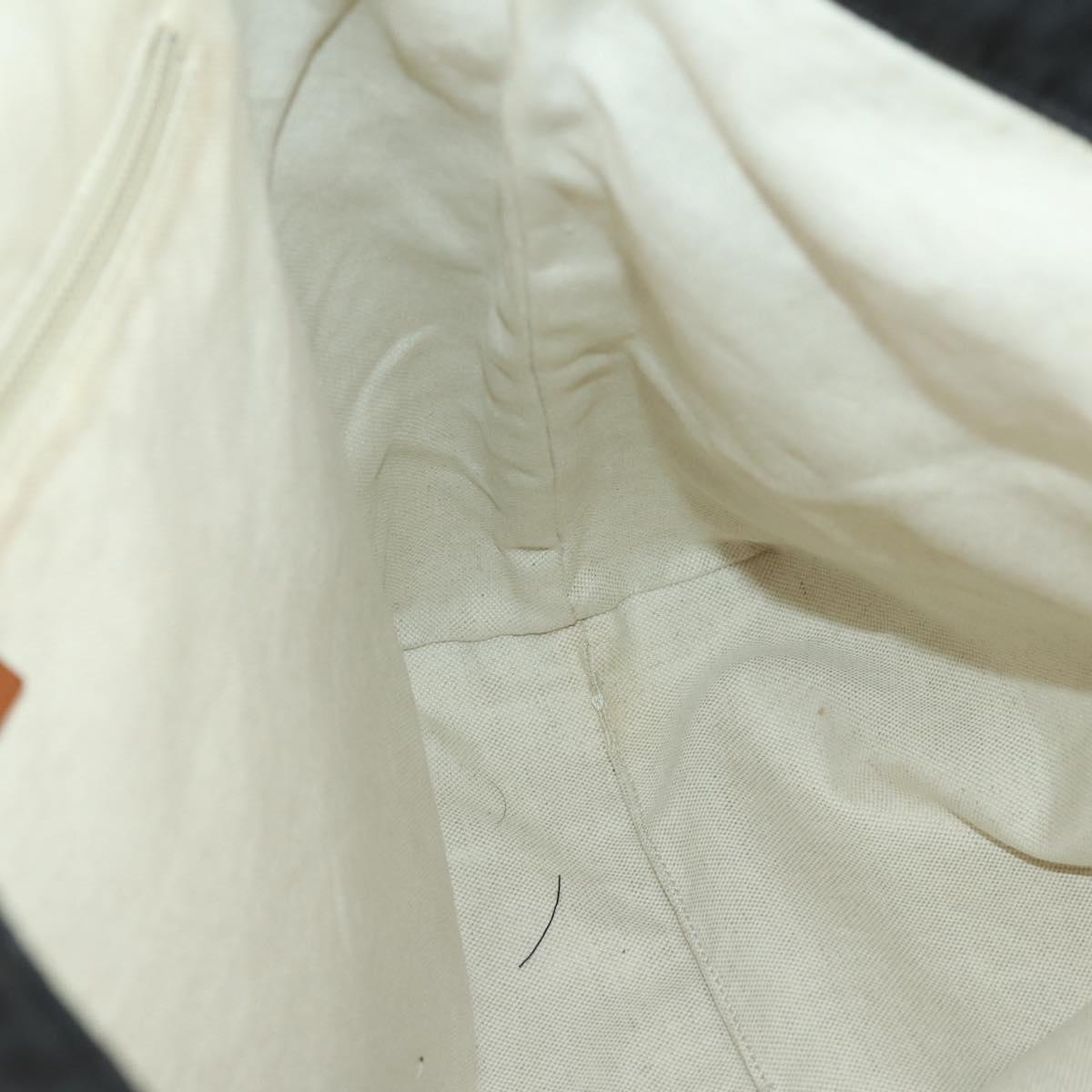 GUCCI GG Canvas Tote Bag Nylon Black Silver 295252 Auth 165091