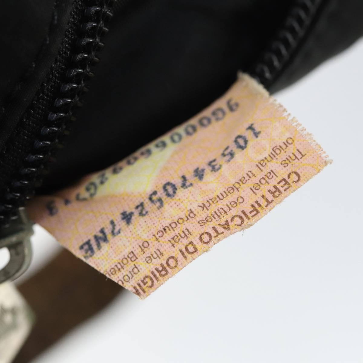 BOTTEGA VENETA Shoulder Bag Nylon Brown Auth 165120