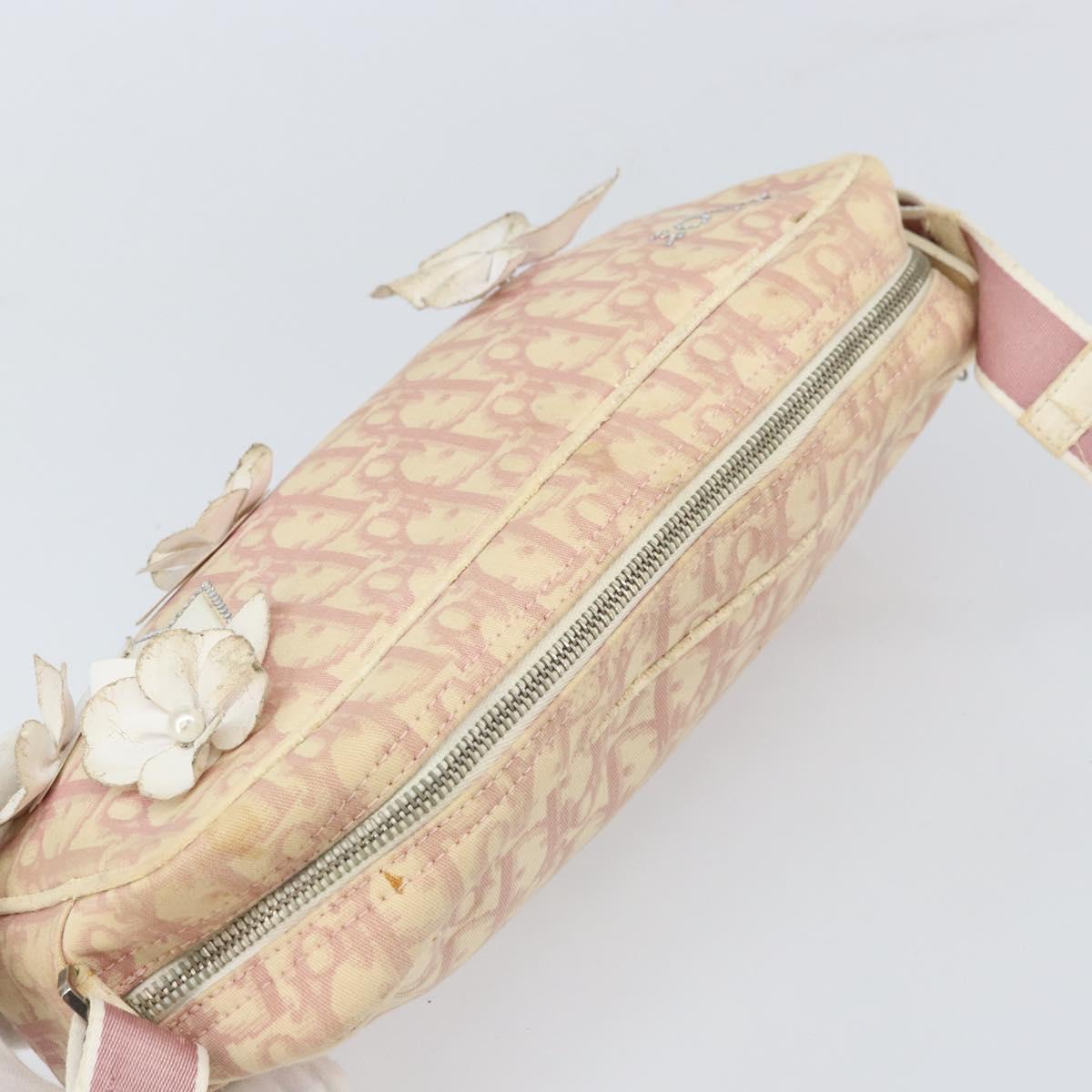 Christian Dior Trotter Canvas Shoulder Bag PVC Pink Silver Auth 165233