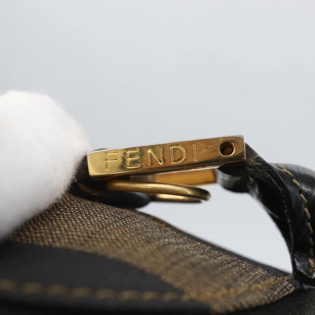 FENDI Pecan Canvas Hand Bag 2way Black Brown gold Auth 165418