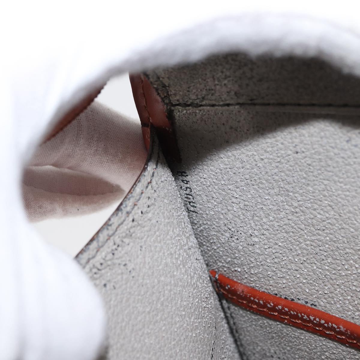 LOUIS VUITTON Epi Riviera Hand Bag Brown M48183 LV Auth 165714