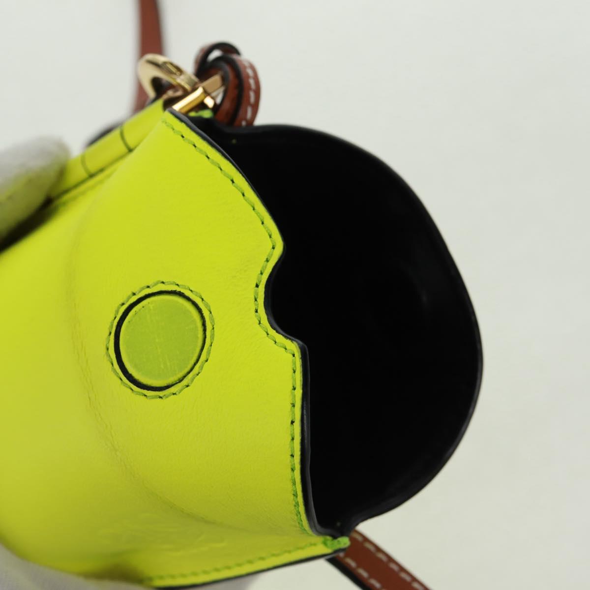 LOEWE Leather Gate Pocket Smiley Shoulder Pouch Bag Yellow Gold Auth 166364M