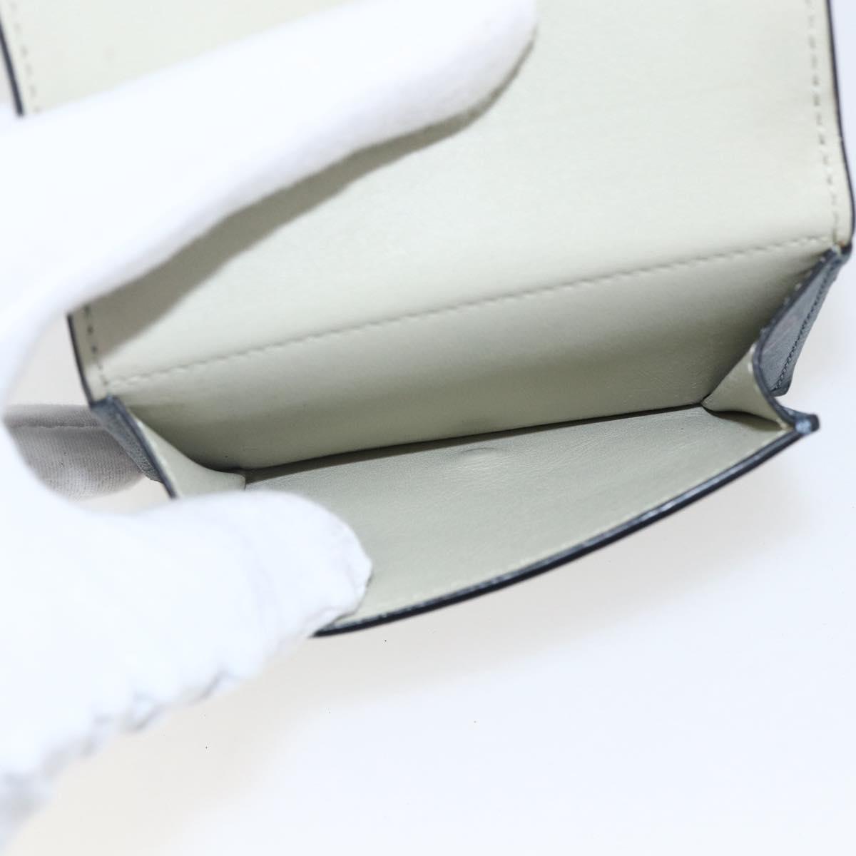 LOEWE Anagram Wallet Leather Blue Silver Auth 166820