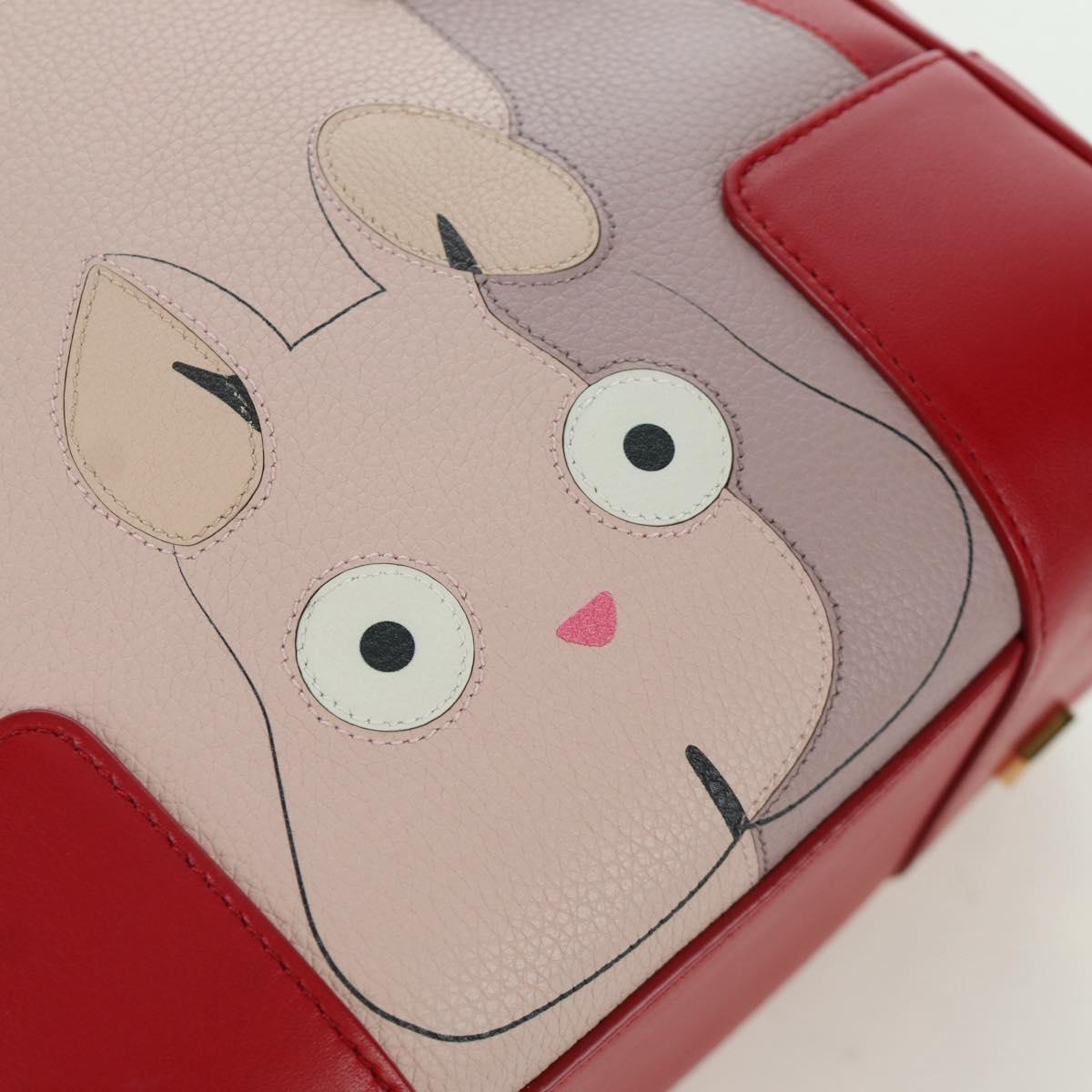 LOEWE テ Studio Ghibli Spirited Away Amazona 21 Bag Leather Red Auth 166973SM