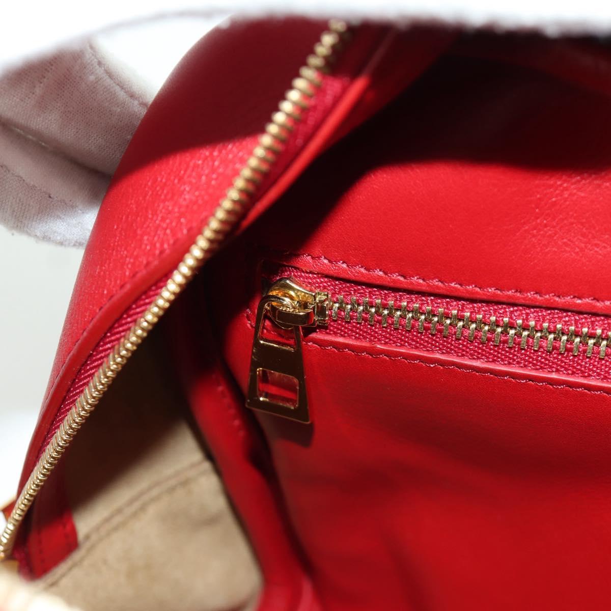 LOEWE テ Studio Ghibli Spirited Away Amazona 21 Bag Leather Red Auth 166973SM