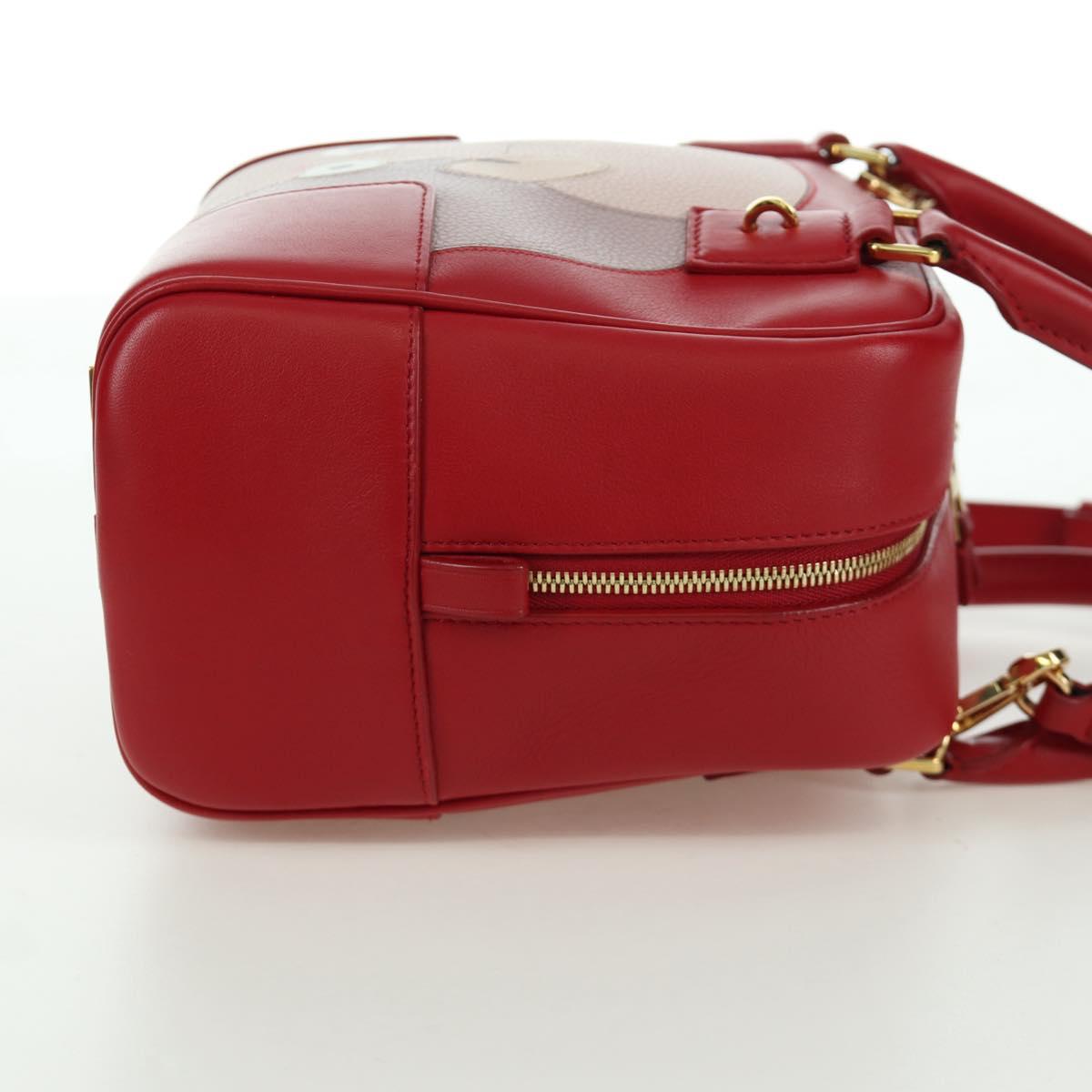 LOEWE テ Studio Ghibli Spirited Away Amazona 21 Bag Leather Red Auth 166973SM