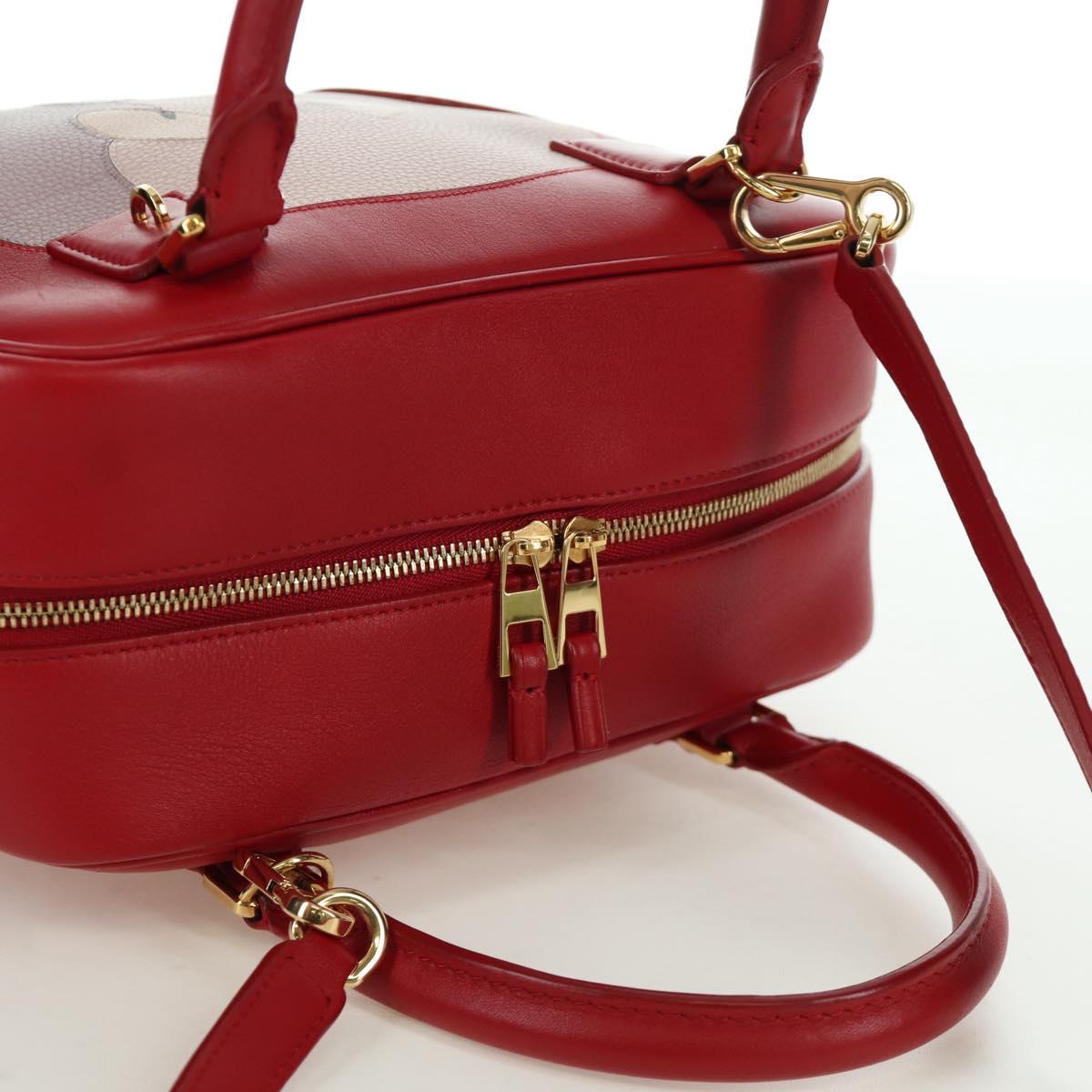 LOEWE テ Studio Ghibli Spirited Away Amazona 21 Bag Leather Red Auth 166973SM