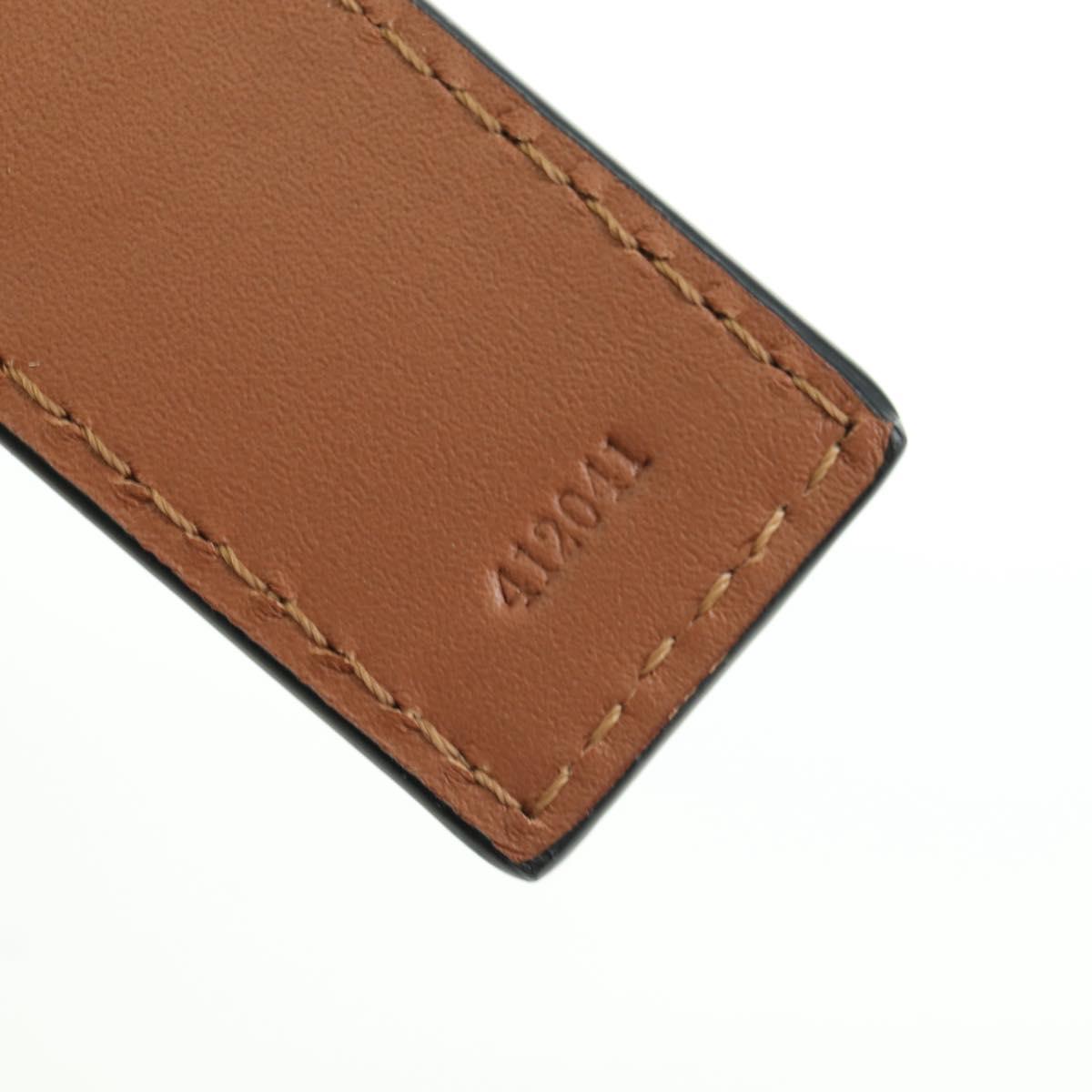 LOEWE × Studio Ghibli My Neighbor Totoro Pitch Black Bag Raffia Auth 166974SM