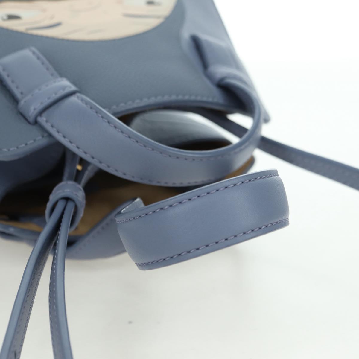 LOEWE × Ghibli Howl's Hammock Nuggets Markl Bag 2way Light Blue Auth 167241SM