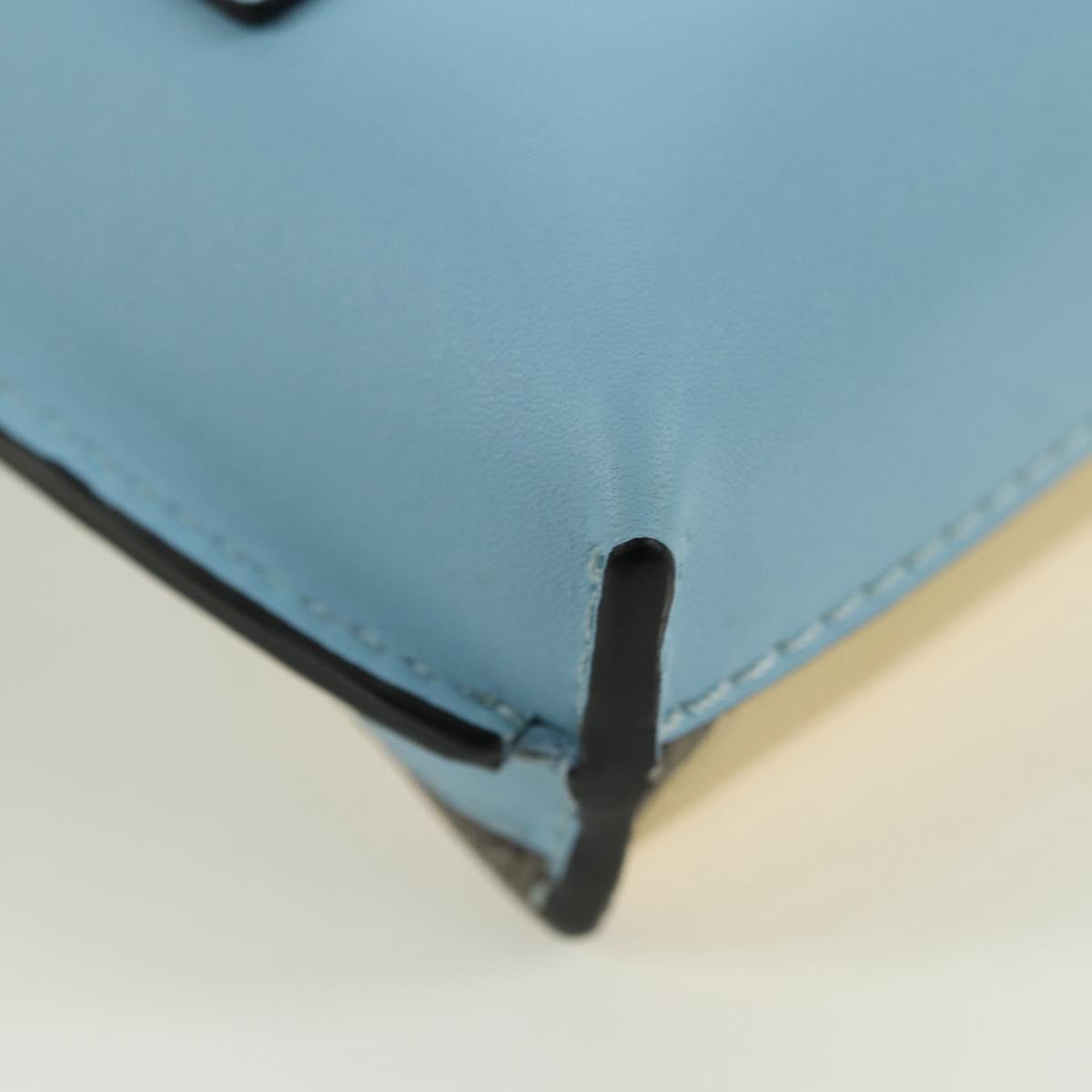 LOEWE × Ghibli My Neighbor Totoro Gate Pocket Leather Light Blue Auth 167243SM