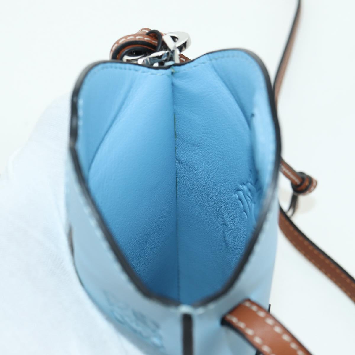 LOEWE × Ghibli My Neighbor Totoro Gate Pocket Leather Light Blue Auth 167243SM