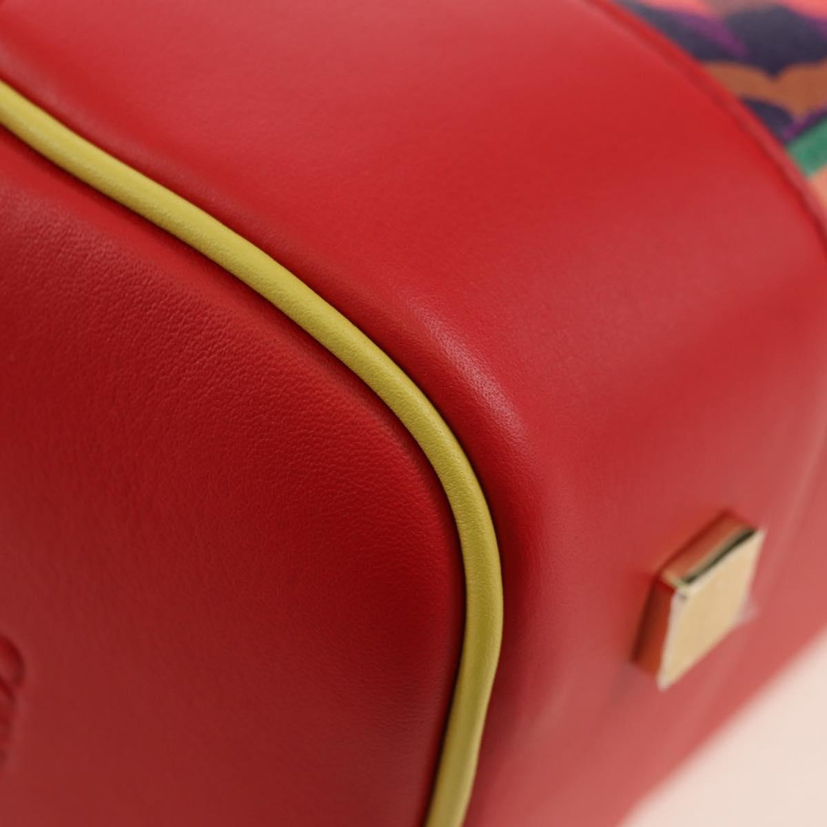 LOEWE × Ghibli Howl's Amazon 28 The Witch Of The Wasteland 2way Auth 167252SM