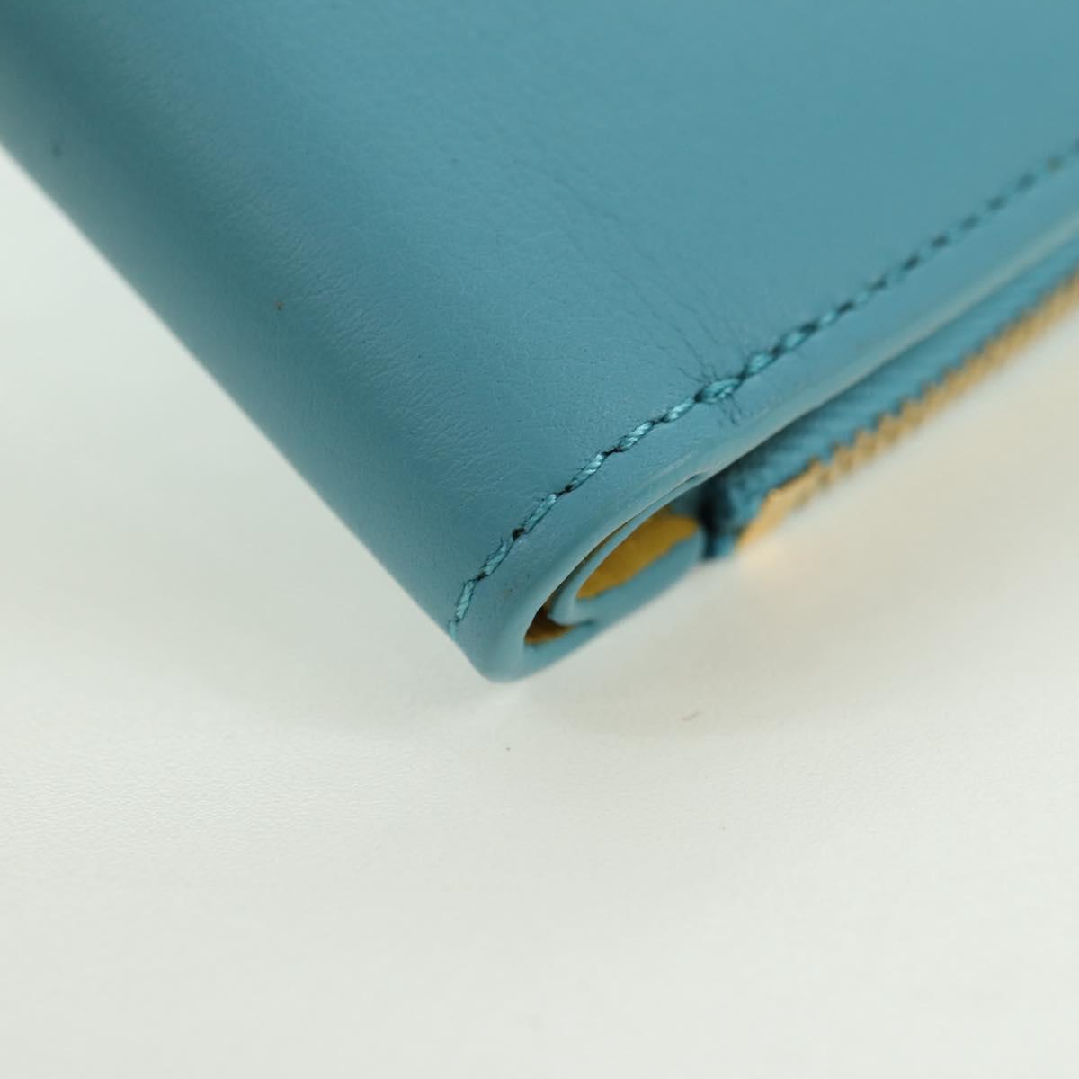 LOEWE × Ghibli Howl's Compact Zip Wallet Hin Leather Light Blue Auth 167304SM