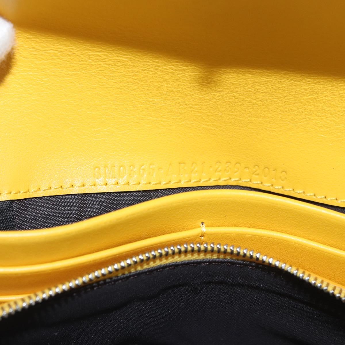Zucca Canvas FENDI x FRGMT x POKÉMON Chain Shoulder Wallet Kairyu Auth 167330SM