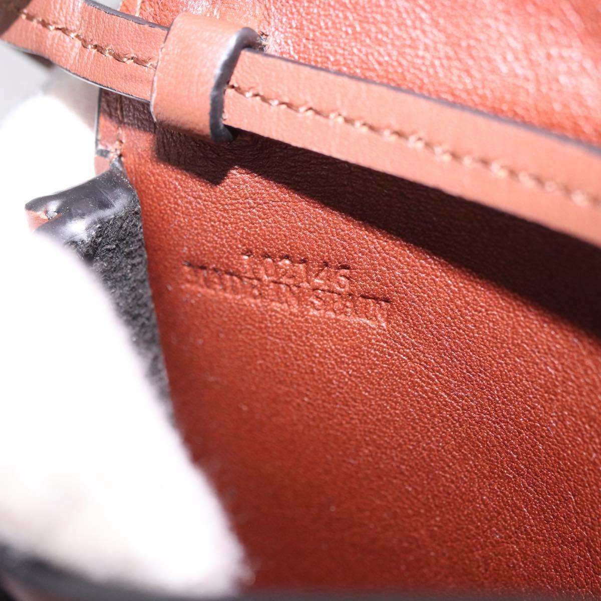 LOEWE × Studio Ghibli anagram Heel Pouch Haku Bag Leather Brown Auth 167385SM