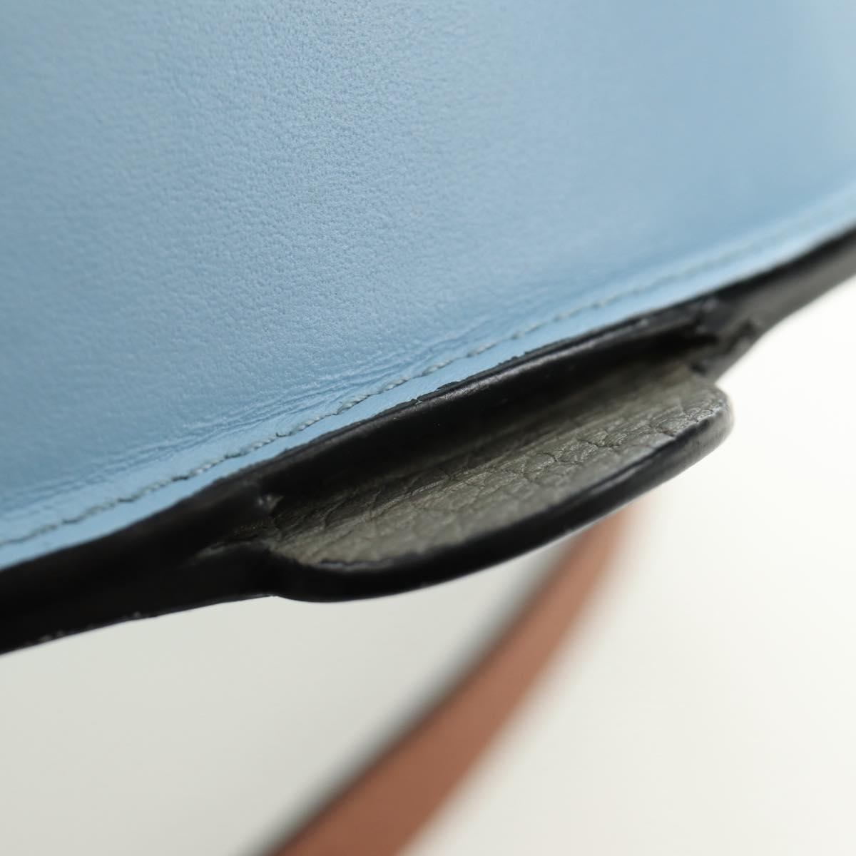 LOEWE × Studio Ghibli My Neighbor Totoro Heel Pouch Leather Blue Auth 167429SM