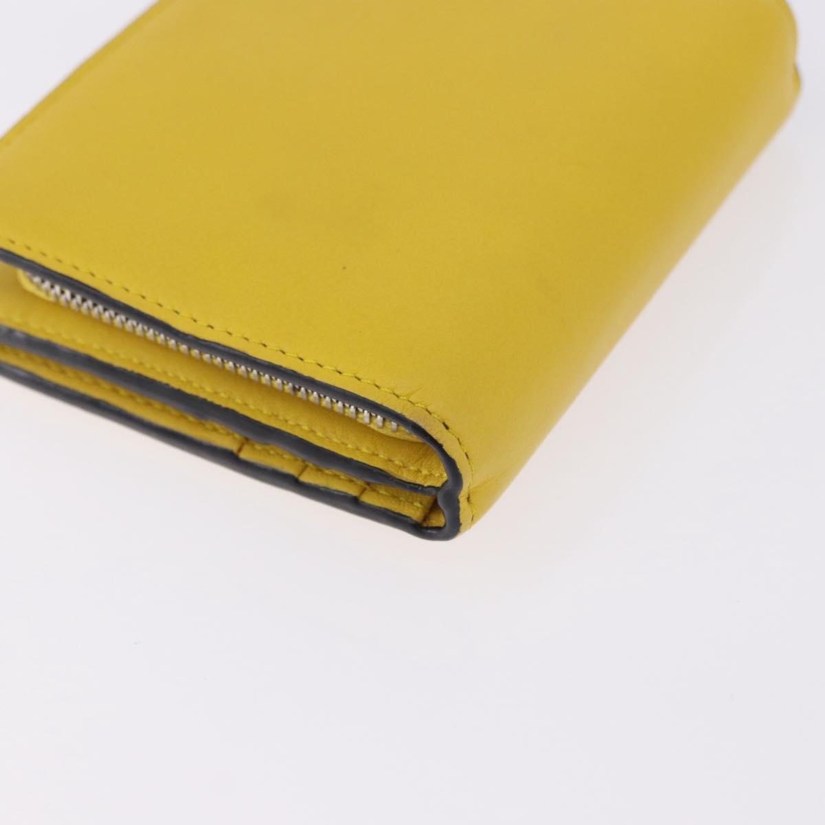 LOEWE x Studio Ghibli My Neighbor Totoro Medium Totoro Wallet Auth 167443SAM