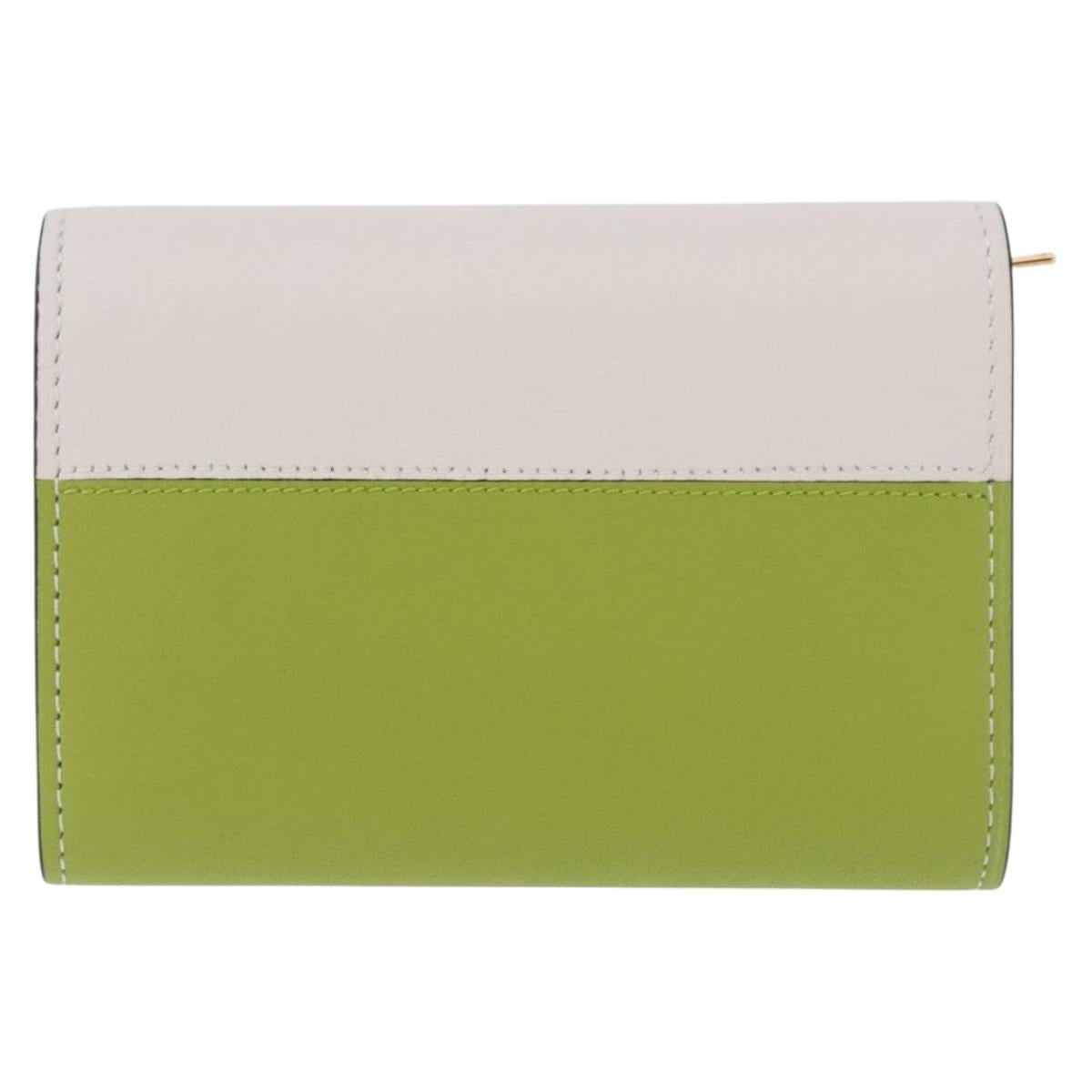 LOEWE x Studio Ghibli Spirited Away Ootori Sama Wallet Leather Auth 167499SM
