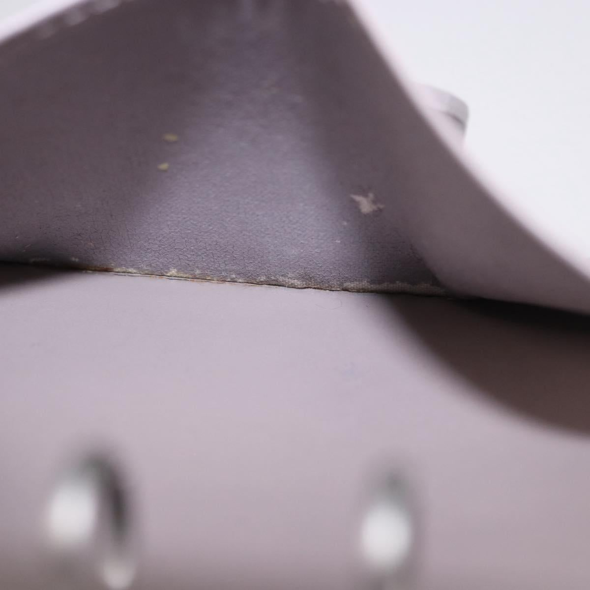 LOUIS VUITTON Epi Agenda PM Day Planner Cover Lilac R2005B LV Auth 167544A