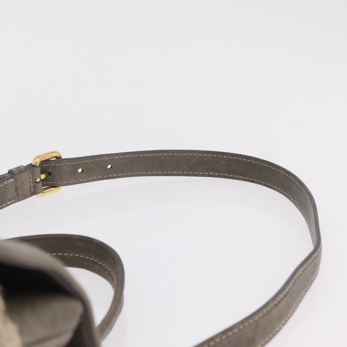 Miu Miu Hand Bag Leather 2way Gray Gold Auth 167708A