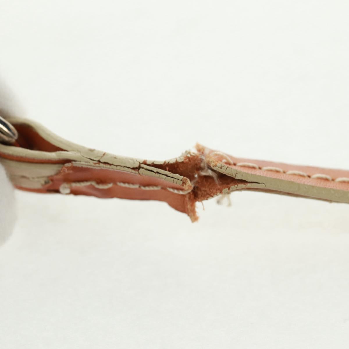 Christian Dior Trotter Canvas Romantic Bag PVC Beige Silver Auth 168086V