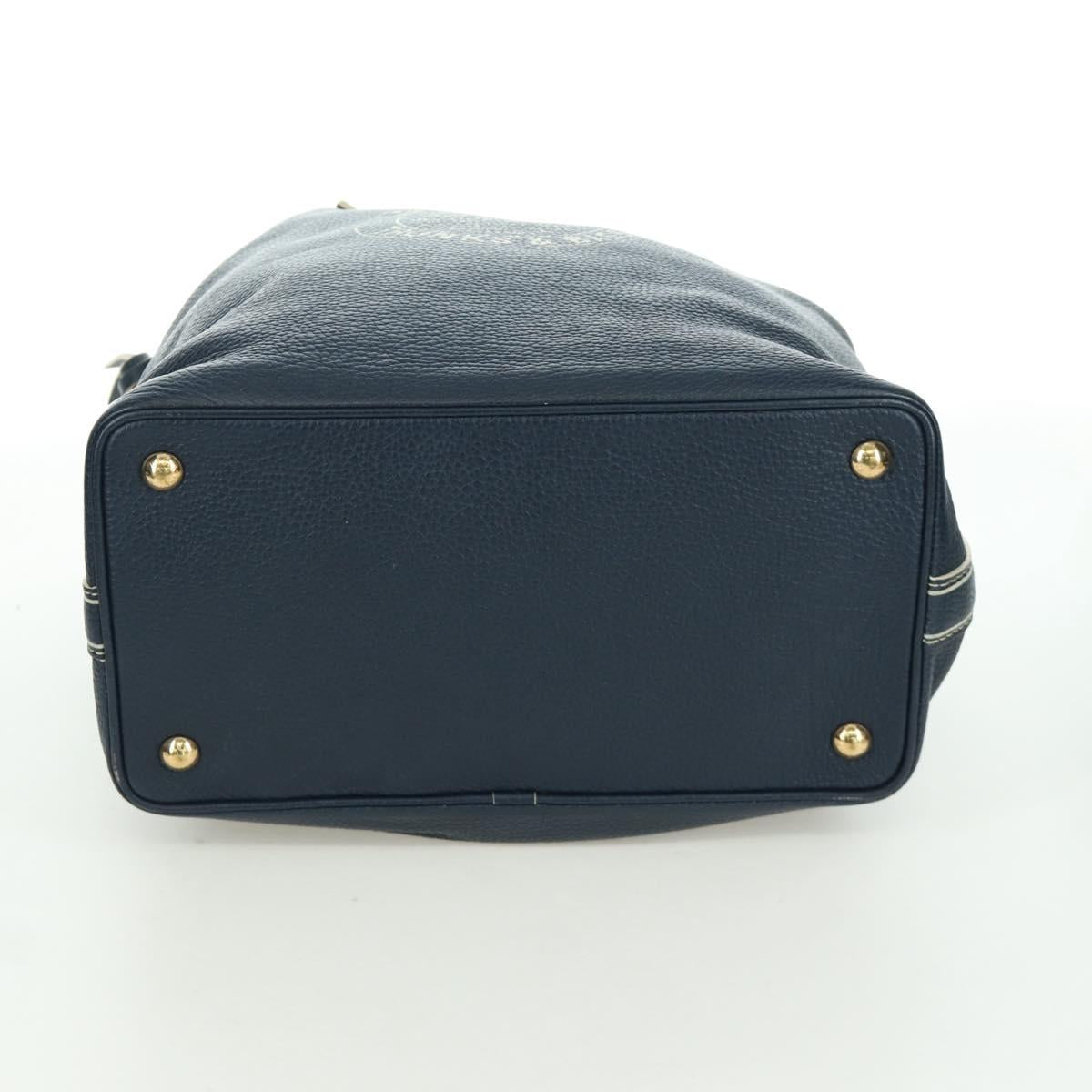 LOUIS VUITTON Tobaco T&B Shoe bag Tote Bag Leather Navy M95149 LV Auth 168317V