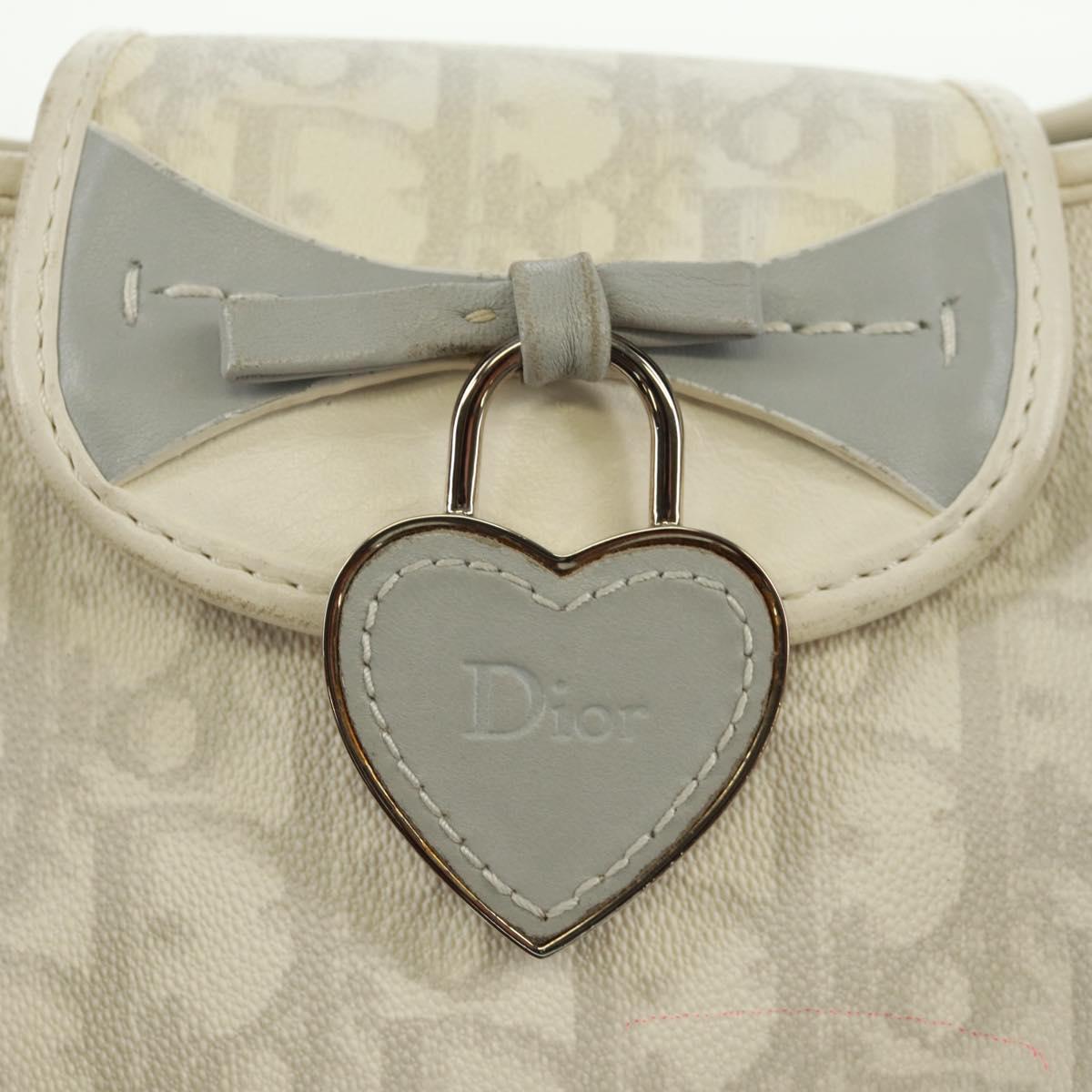 Christian Dior trotter romantic Chain Hand Bag PVC White Silver Auth 168342V