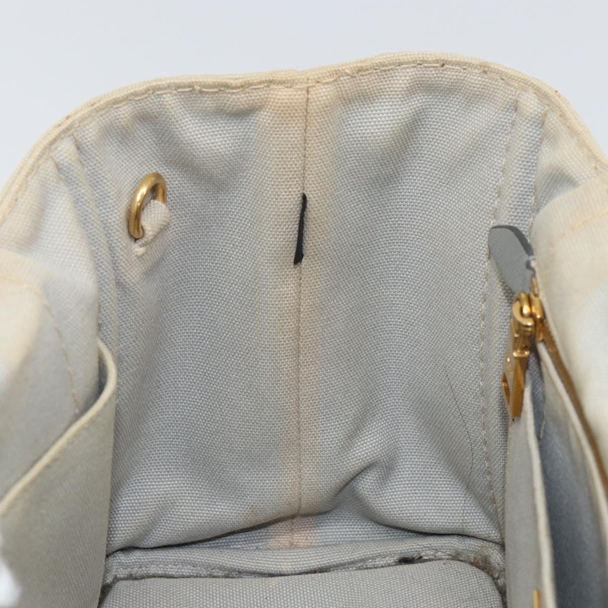 PRADA Canapa PM Hand Bag Canvas Gray Gold Auth 168587