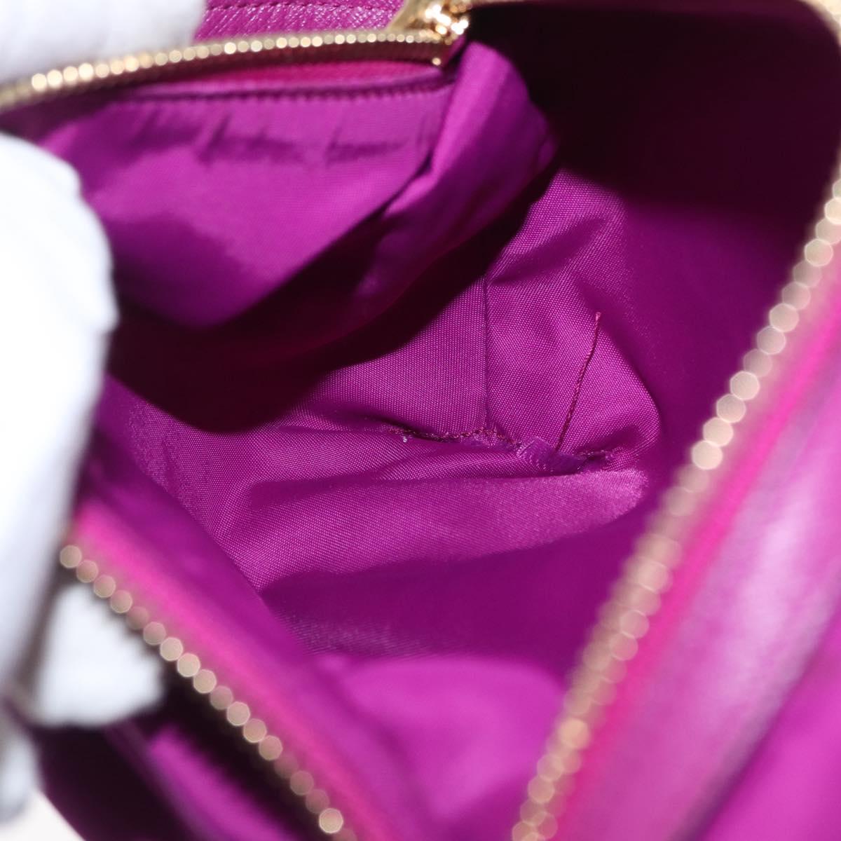 Salvatore Ferragamo Hand Pouch Nylon Purple Gold Auth 169291V