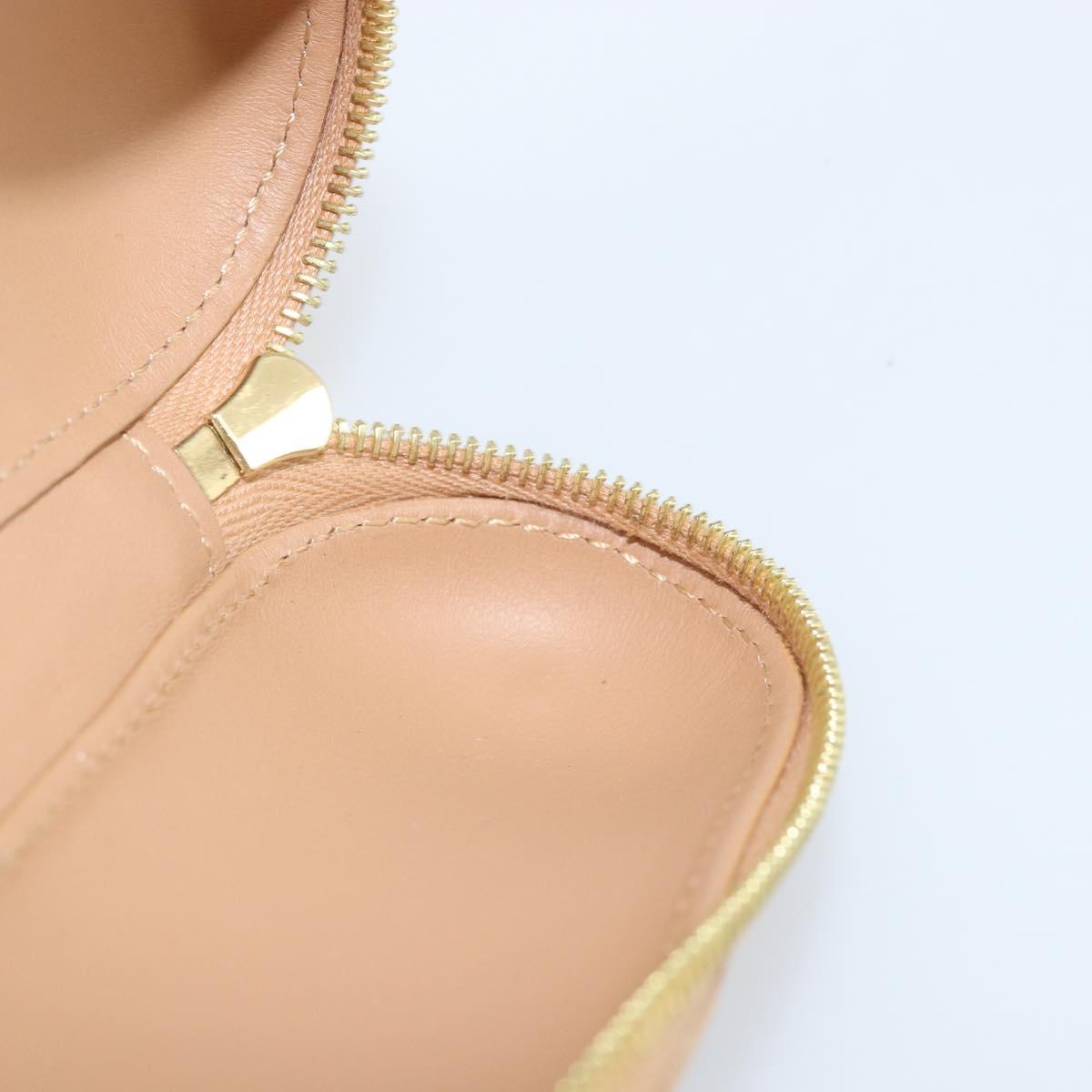 LOUIS VUITTON Monogram Craggy LV Eclair Pouch M01944 LV Auth 169833SAM