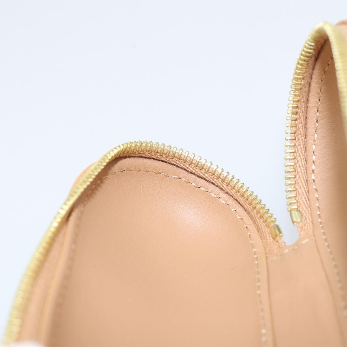 LOUIS VUITTON Monogram Craggy LV Eclair Pouch M01944 LV Auth 169833SAM